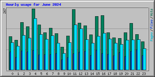 Hourly usage for June 2024