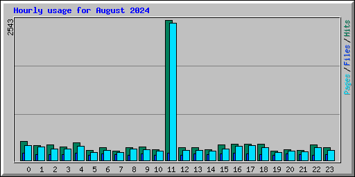 Hourly usage for August 2024