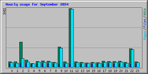 Hourly usage for September 2024