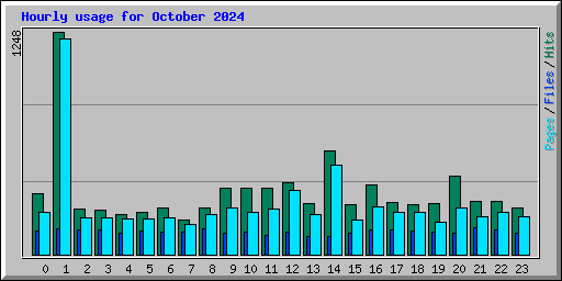 Hourly usage for October 2024