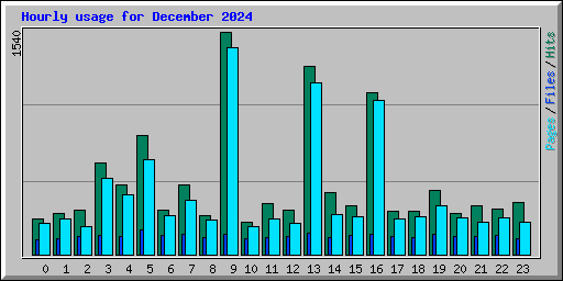 Hourly usage for December 2024