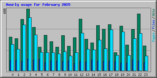 Hourly usage for February 2025