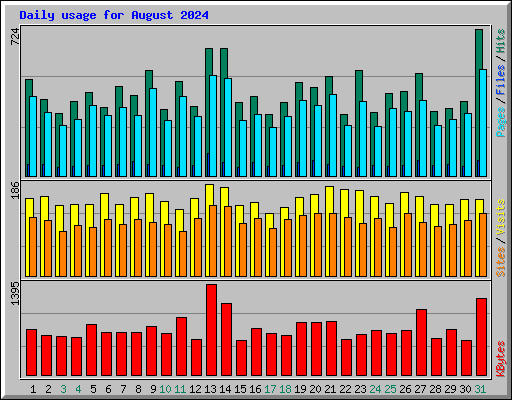 Daily usage for August 2024