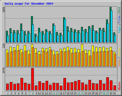 Daily usage for December 2024