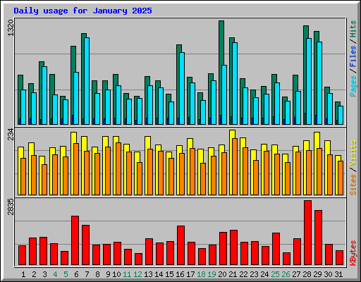 Daily usage for January 2025