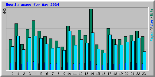 Hourly usage for May 2024