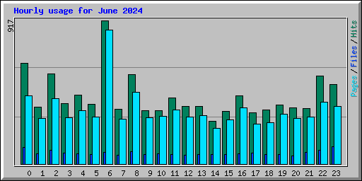 Hourly usage for June 2024