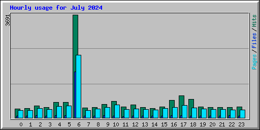 Hourly usage for July 2024