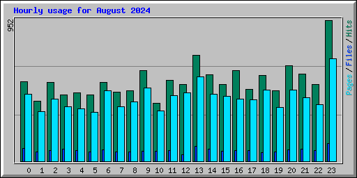 Hourly usage for August 2024