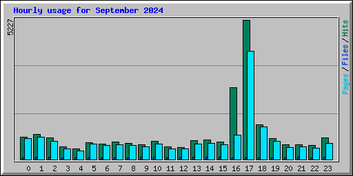 Hourly usage for September 2024