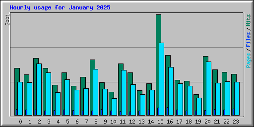 Hourly usage for January 2025