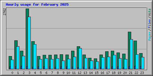 Hourly usage for February 2025