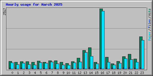 Hourly usage for March 2025