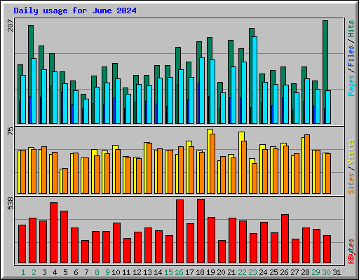 Daily usage for June 2024