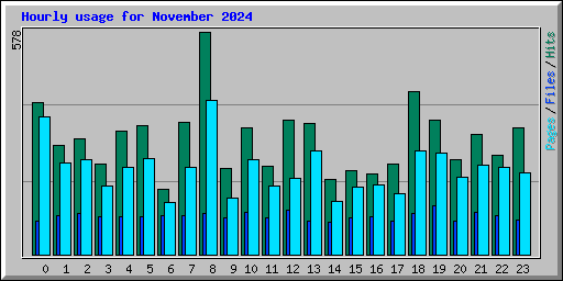 Hourly usage for November 2024