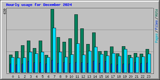 Hourly usage for December 2024