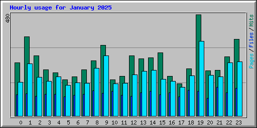 Hourly usage for January 2025