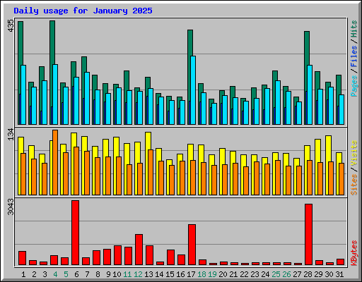 Daily usage for January 2025