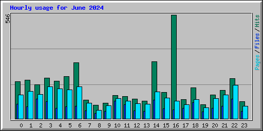 Hourly usage for June 2024