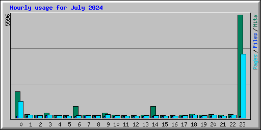 Hourly usage for July 2024