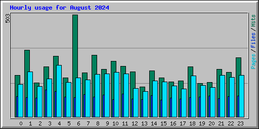 Hourly usage for August 2024