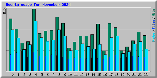 Hourly usage for November 2024