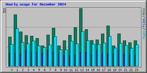 Hourly usage for December 2024