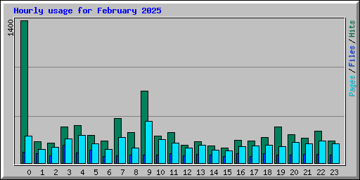 Hourly usage for February 2025