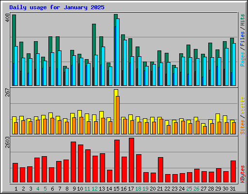 Daily usage for January 2025