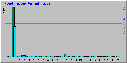 Hourly usage for July 2024