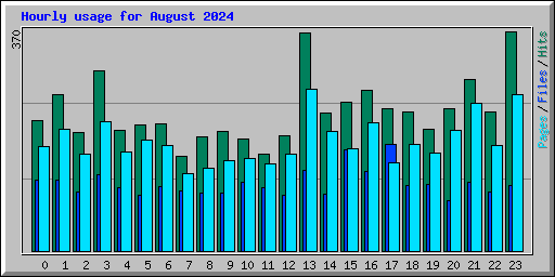 Hourly usage for August 2024