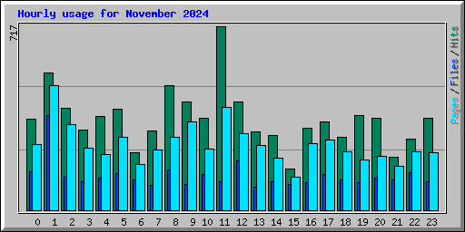 Hourly usage for November 2024