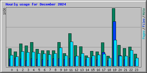 Hourly usage for December 2024