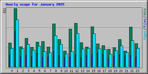 Hourly usage for January 2025