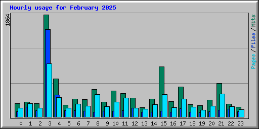 Hourly usage for February 2025