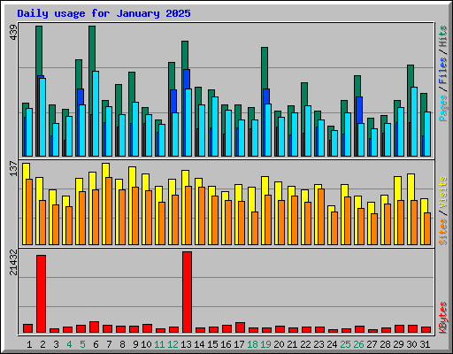 Daily usage for January 2025