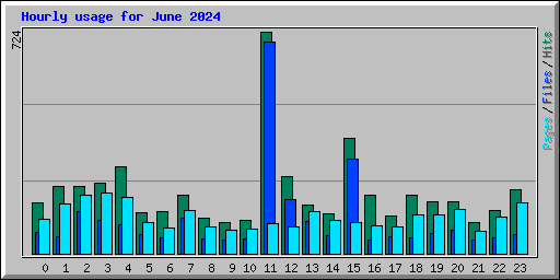 Hourly usage for June 2024