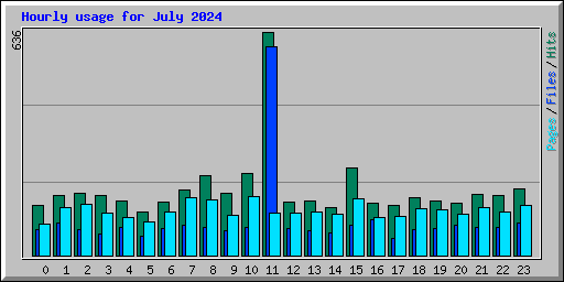 Hourly usage for July 2024