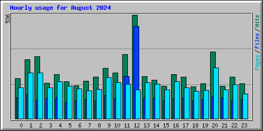 Hourly usage for August 2024