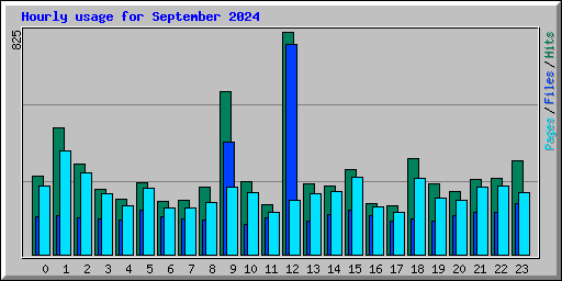 Hourly usage for September 2024