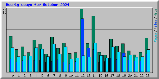 Hourly usage for October 2024