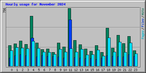 Hourly usage for November 2024