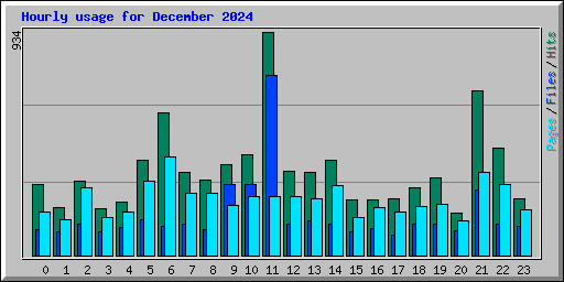 Hourly usage for December 2024