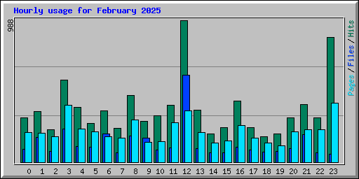 Hourly usage for February 2025