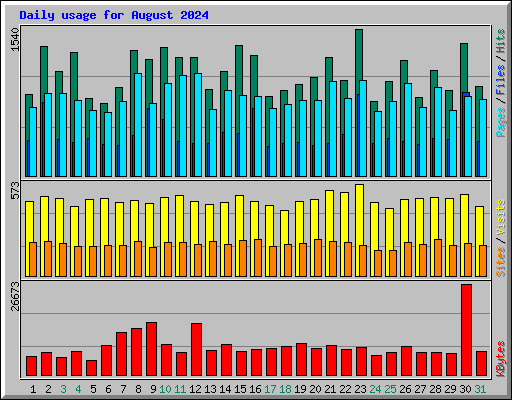 Daily usage for August 2024