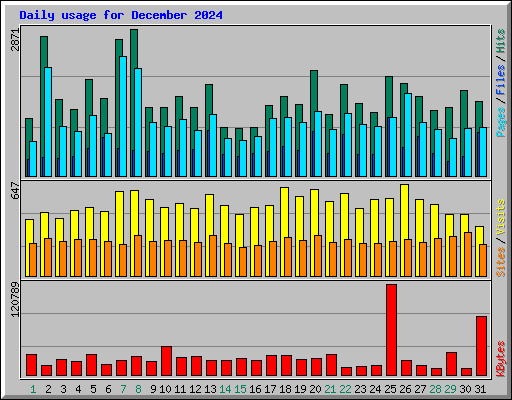 Daily usage for December 2024