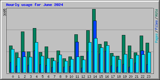 Hourly usage for June 2024