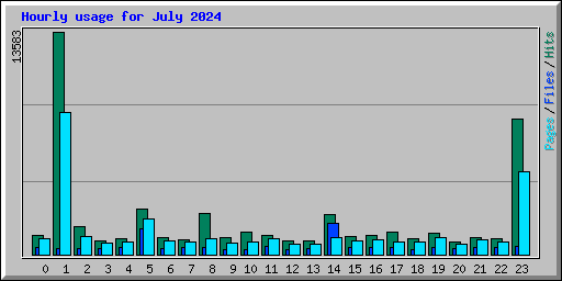 Hourly usage for July 2024