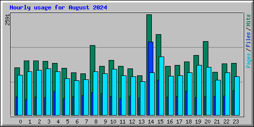 Hourly usage for August 2024