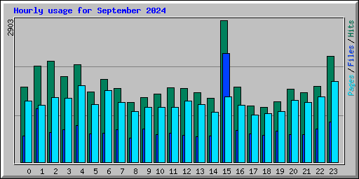 Hourly usage for September 2024